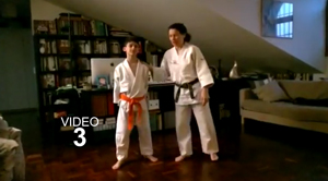 video 3 TACHI WAZA